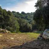 Alla fine del campo un sentiero si apre nel muretto a secco perimetrale per scendere nella Gravina di Monsignore